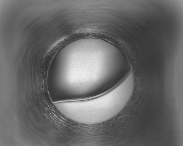 X0000086090872200703231113