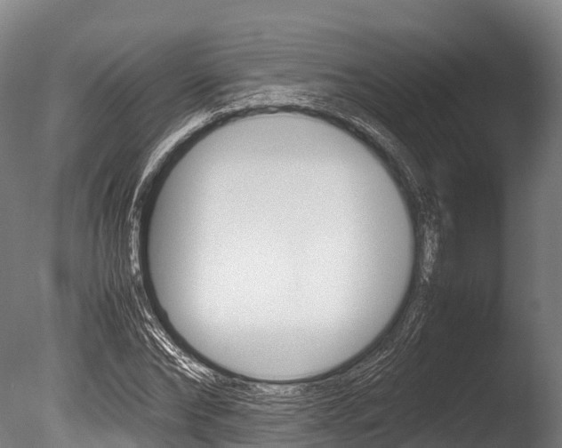 X0000086090878200703231113