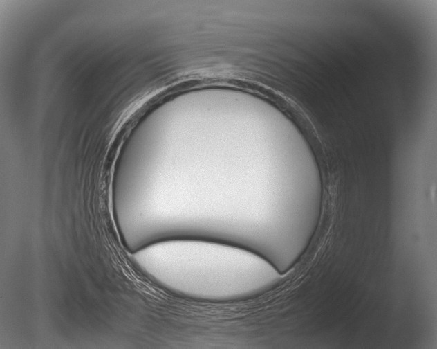X0000086090879200703231113