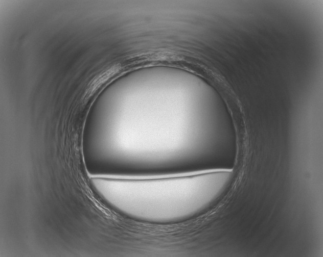 X0000086090881200703231113