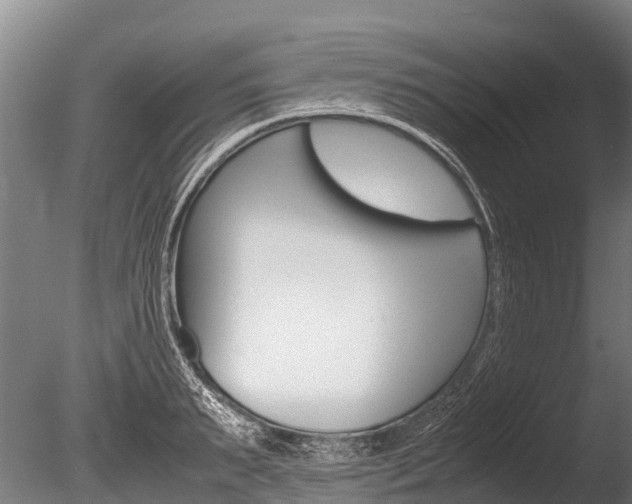 X0000086090895200703231113