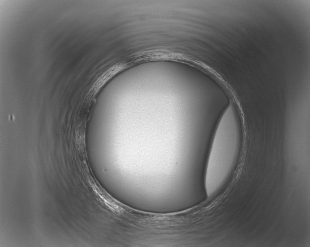 X0000086090897200703231113
