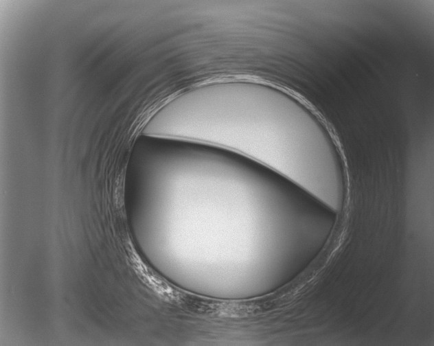 X0000086090905200703231113