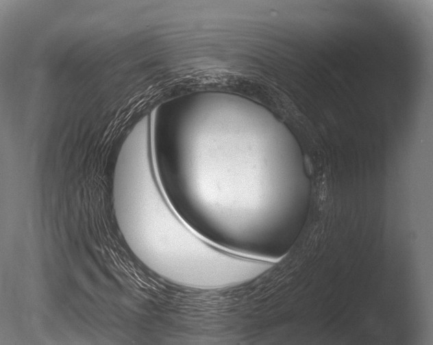 X0000086090916200703231112