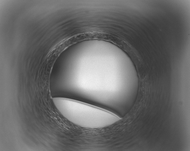 X0000086090919200703231112