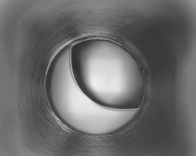 X0000086090924200703231112
