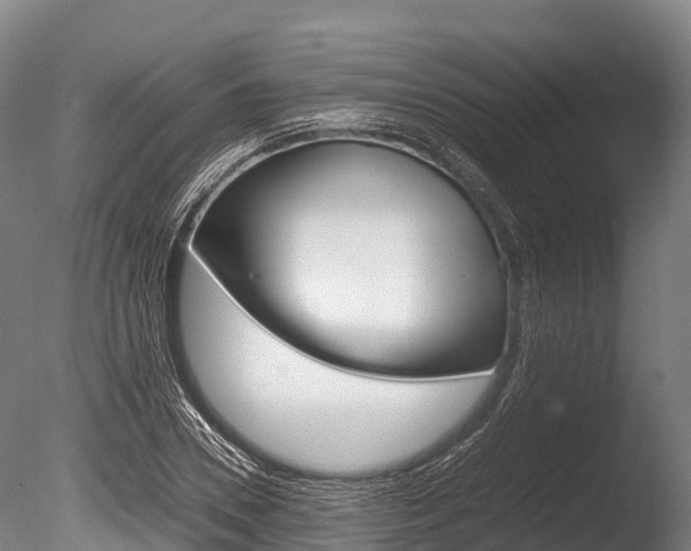 X0000086090930200703231112