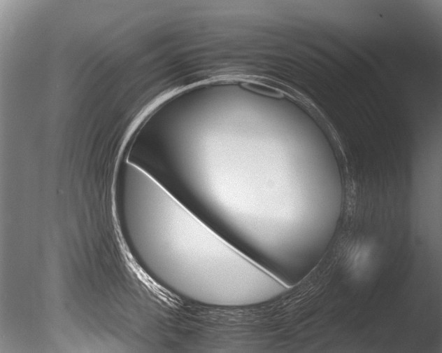 X0000086090955200703231113