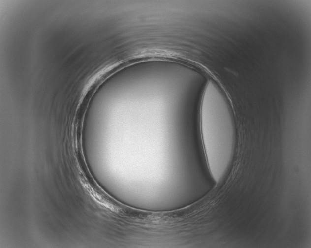 X0000086090987200703231111