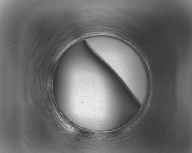 X0000086090993200703231111