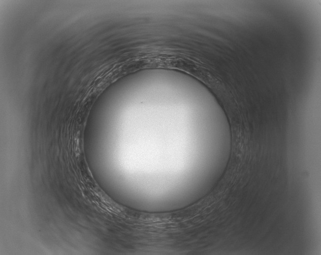 X0000086091013200703231110