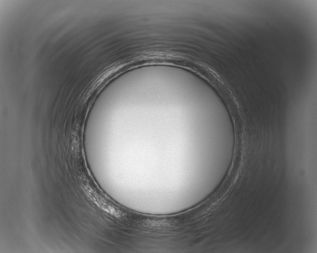 X0000086091025200703231110