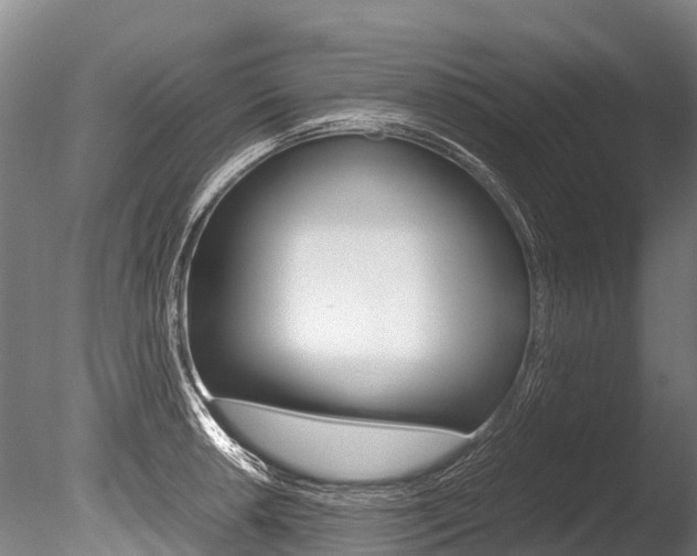 X0000086091042200703231111