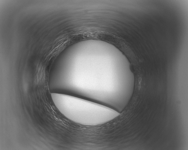 X0000086091060200703231110