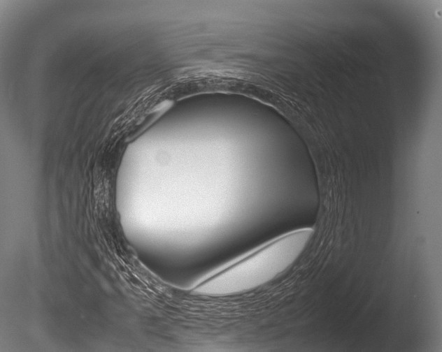X0000086091061200703231110