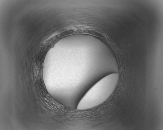 X0000086091063200703231110