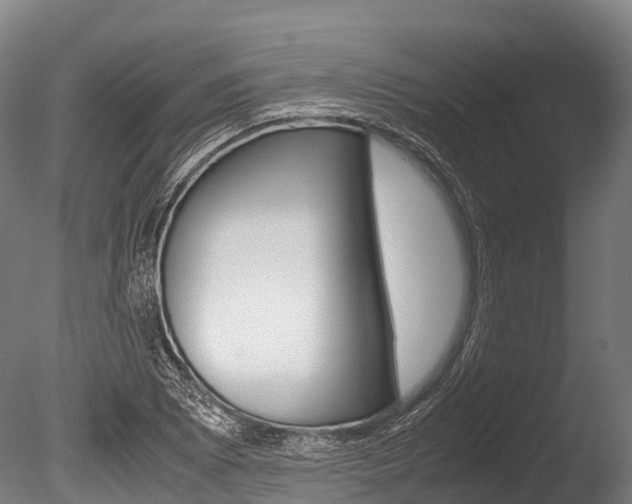 X0000086091073200703231110