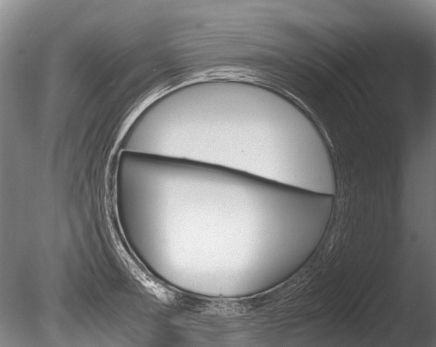 X0000086091091200703231110