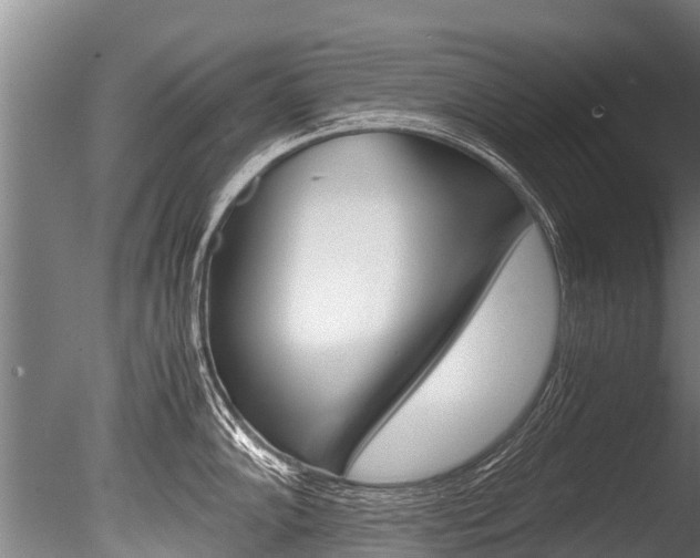 X0000086091102200703231109