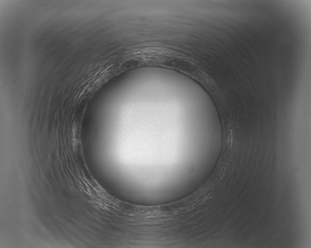 X0000086091108200703231109