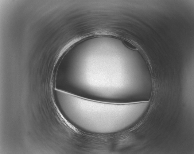X0000086091141200703231109