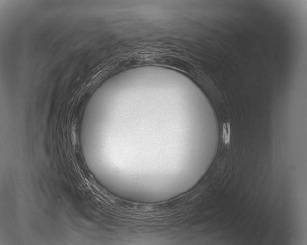X0000086091155200703231109