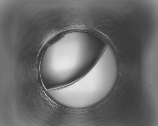 X0000086091168200703231108