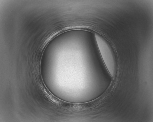 X0000086091177200703231108