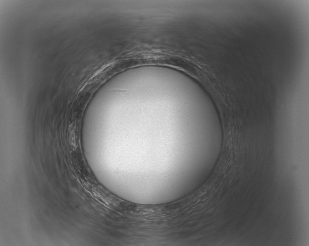 X0000086091205200703231107