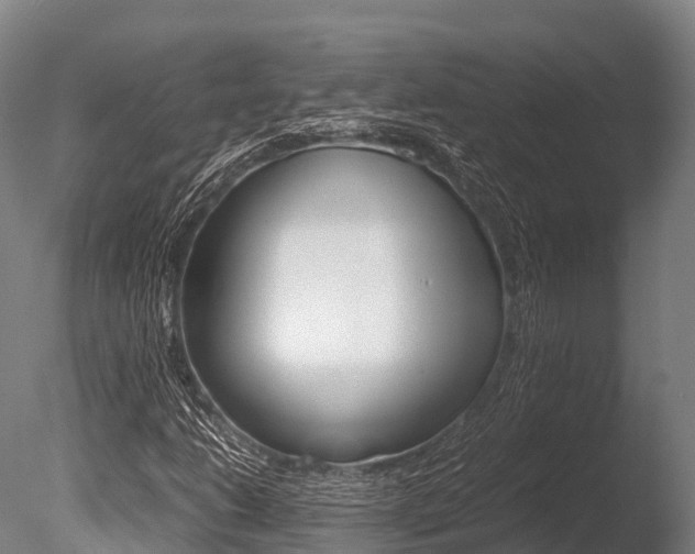 X0000086091206200703231107