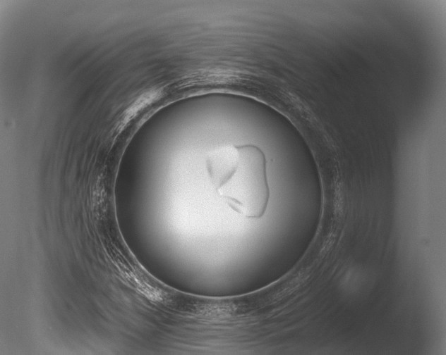X0000086091210200703231107