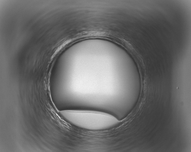 X0000086091212200703231107