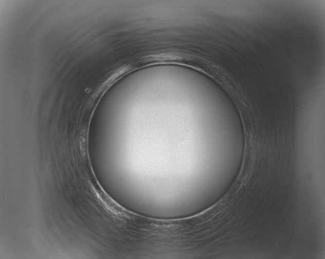 X0000086091225200703231107
