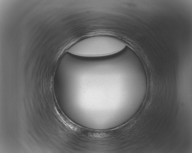 X0000086091233200703231107