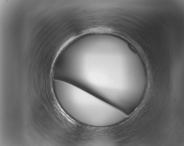 X0000086091248200703231108