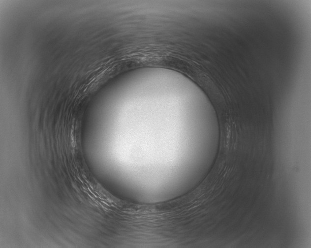 X0000086091250200703231107