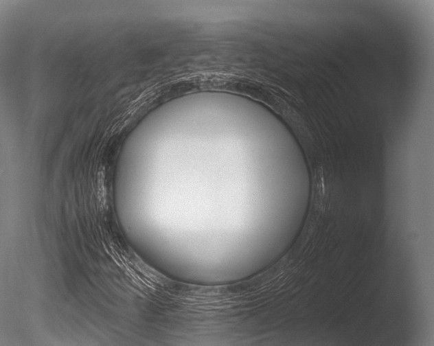 X0000086091252200703231107