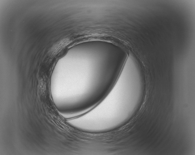 X0000086091257200703231107