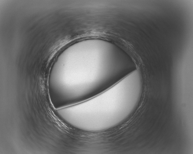 X0000086091260200703231107