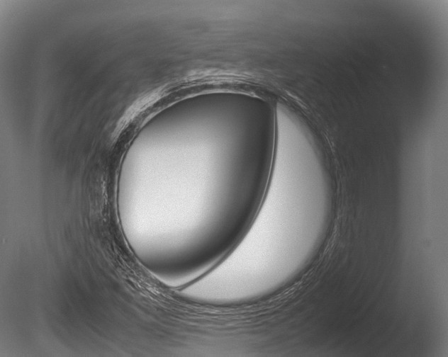 X0000086091261200703231107
