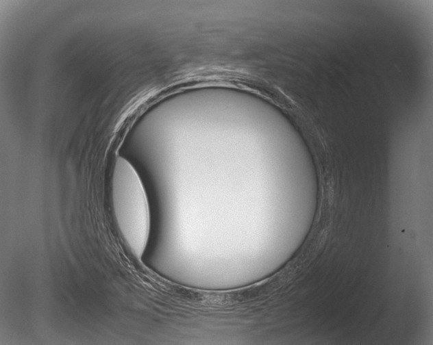 X0000086091267200703231107