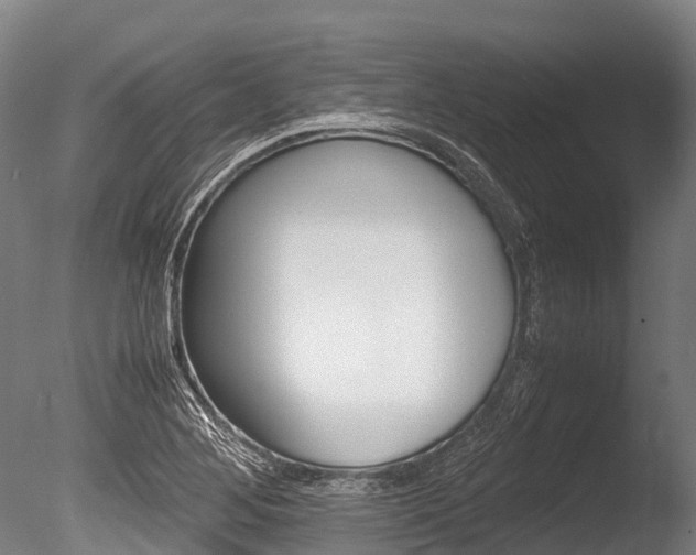X0000086091268200703231107