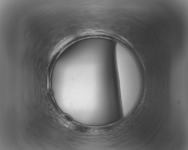 X0000086091269200703231107