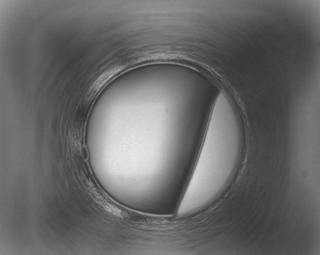 X0000086091273200703231106