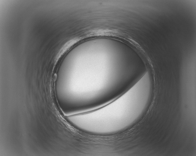 X0000086091277200703231106