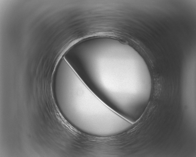 X0000086091284200703231106