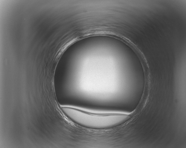X0000086091289200703231106