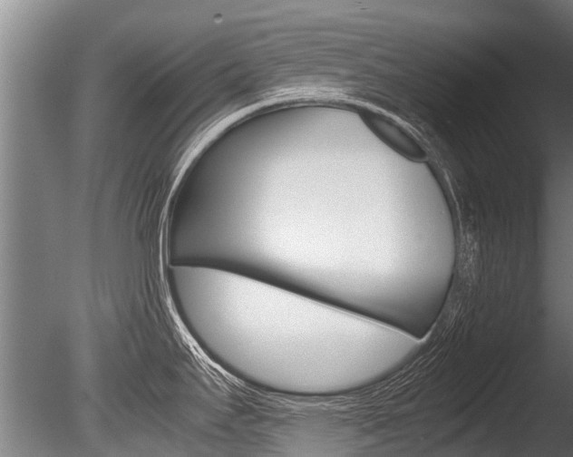 X0000086091295200703231106