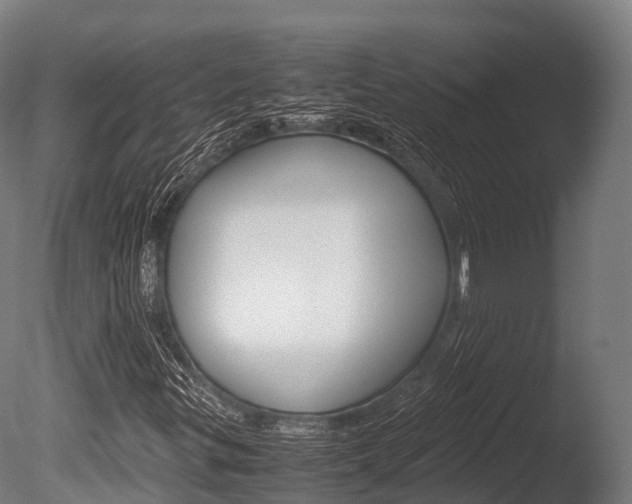 X0000086091299200703231105