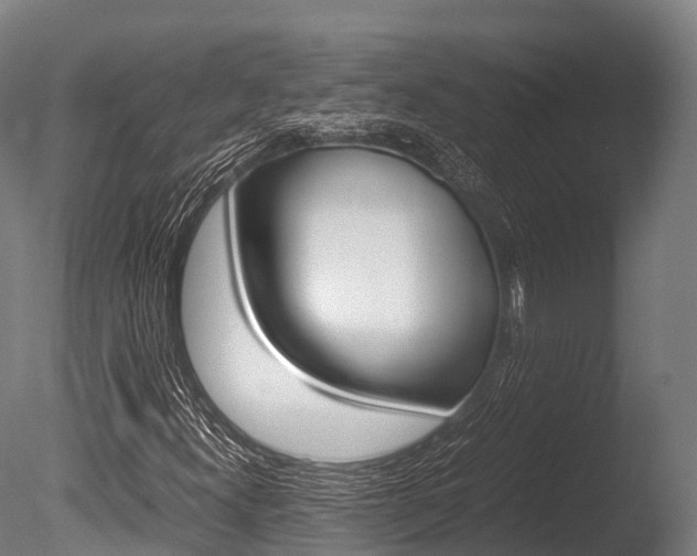 X0000086091300200703231105